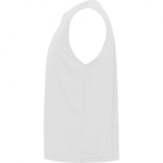 Ajax - unisex sports pinnie
