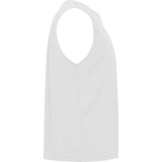 Ajax - unisex sports pinnie