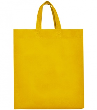 LAKE - bag