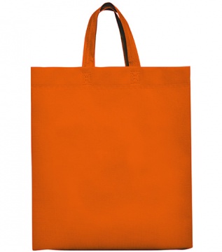 LAKE - bag
