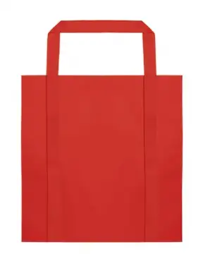 BARNET- Big non-woven bag