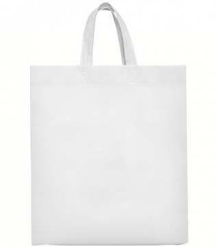 LAKE- BAG