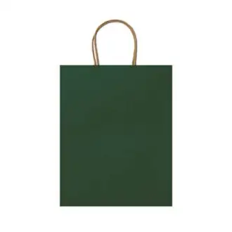ARCE - paper bag 25x31x11cm