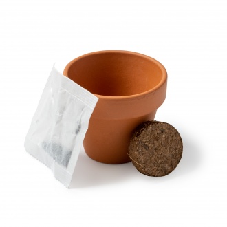 GIRAX - Terracotta flower pot with sunflower seeds