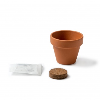 GIRAX - Terracotta flower pot with sunflower seeds