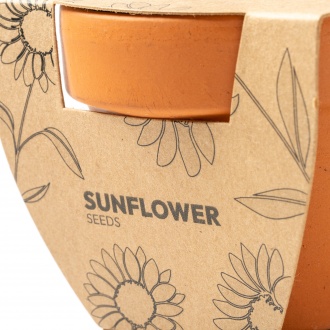 GIRAX - Terracotta flower pot with sunflower seeds
