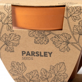 TULSY - Set of two pots with parsley and basil seeds