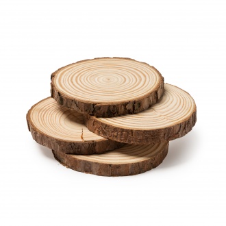 PINEA - Set of 4 coasters made of natural pine