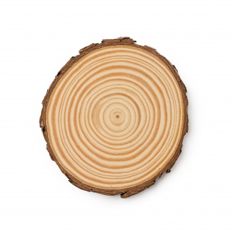 PINEA - Set of 4 coasters made of natural pine