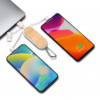 DIONE - 5-in-1 charging cable made of recycled ABS and bamboo