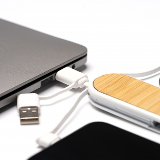 DIONE - 5-in-1 charging cable made of recycled ABS and bamboo