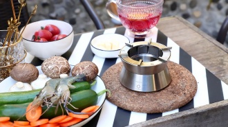 Ember Stove - Compact stainless steel stove.