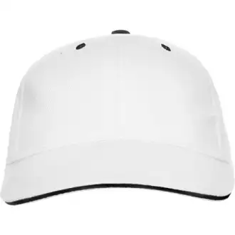 Panel - cap
