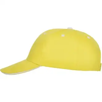 Panel - cap