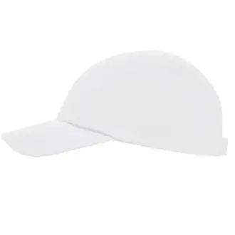 Mercury - cap