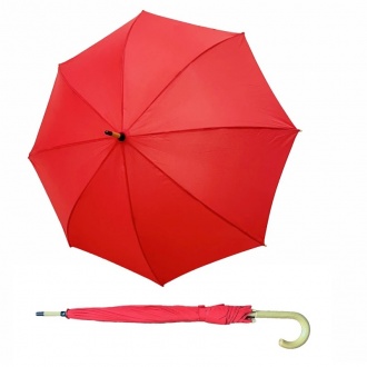 BERN - Automatic umbrella