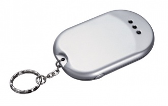 Key ring with wlan network detector