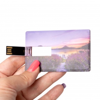 DATIS - USB memory card 16GB