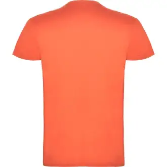 BEAGLE - T-SHIRT